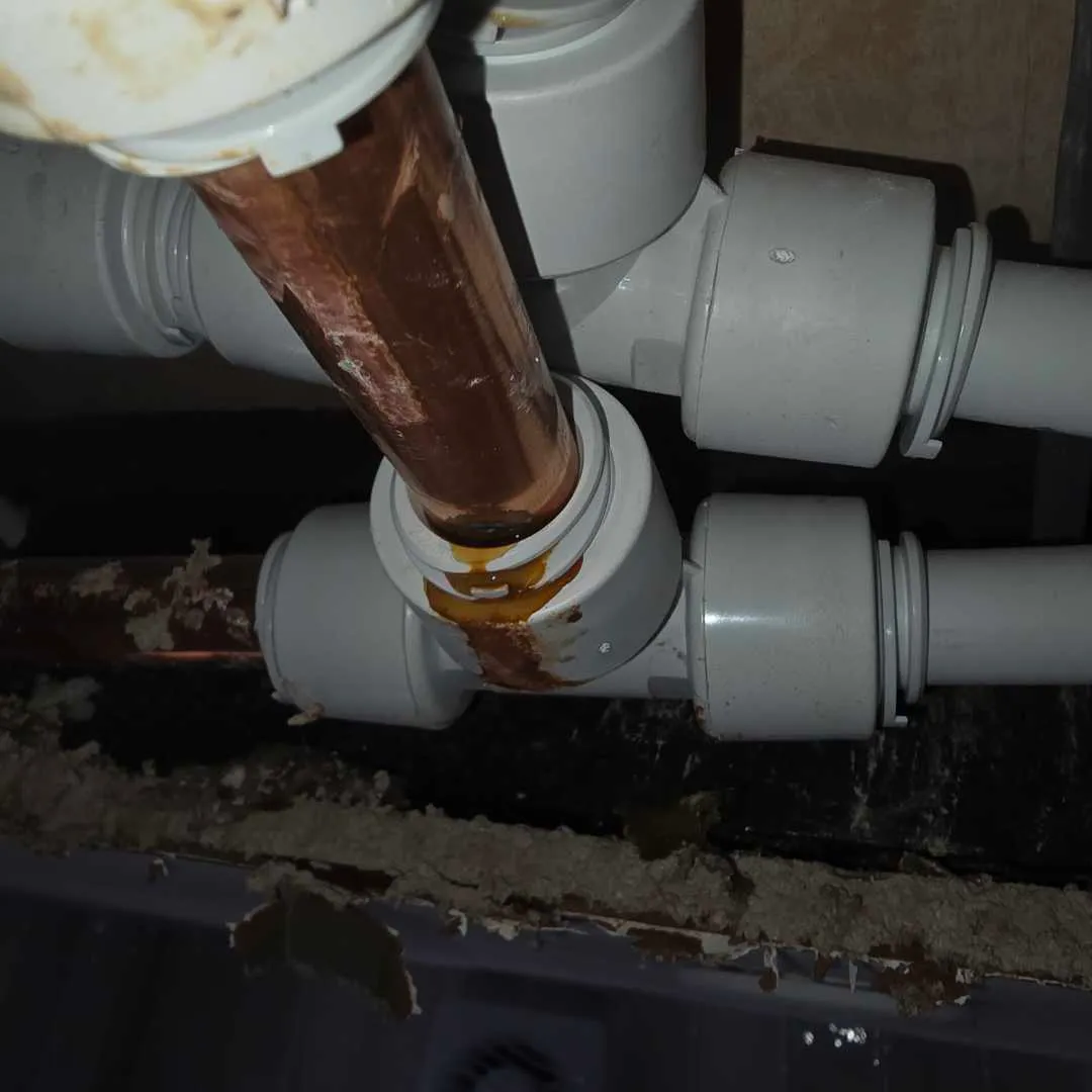 Flat Roof Leak Detector